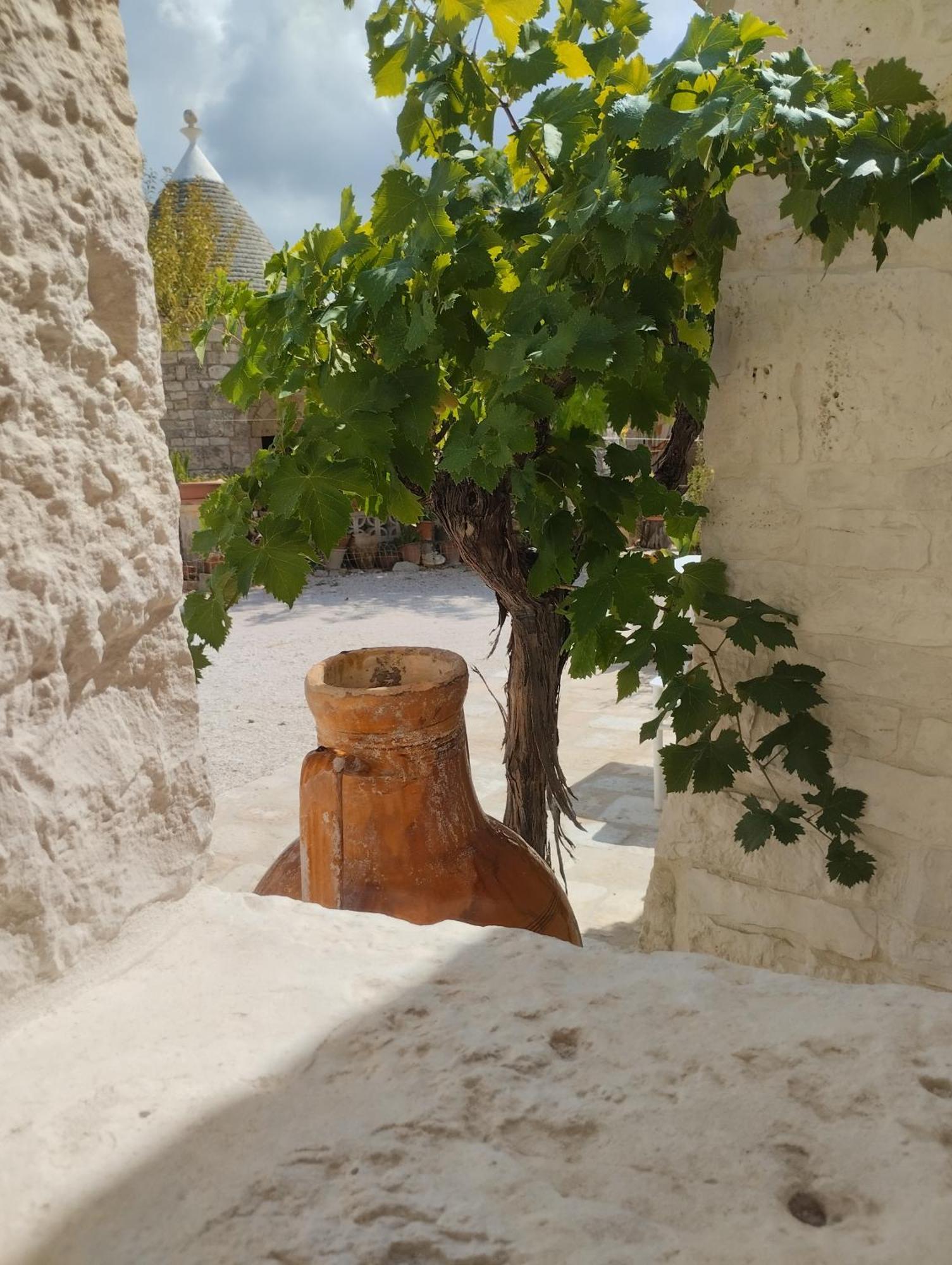 Borgo San Francesco Villa Locorotondo Buitenkant foto